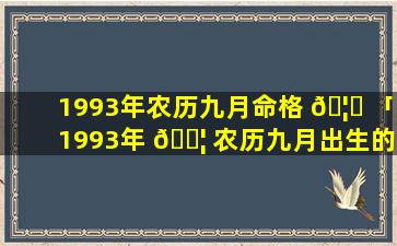 1993年农历九月命格 🦈 「1993年 🐦 农历九月出生的鸡命好吗」